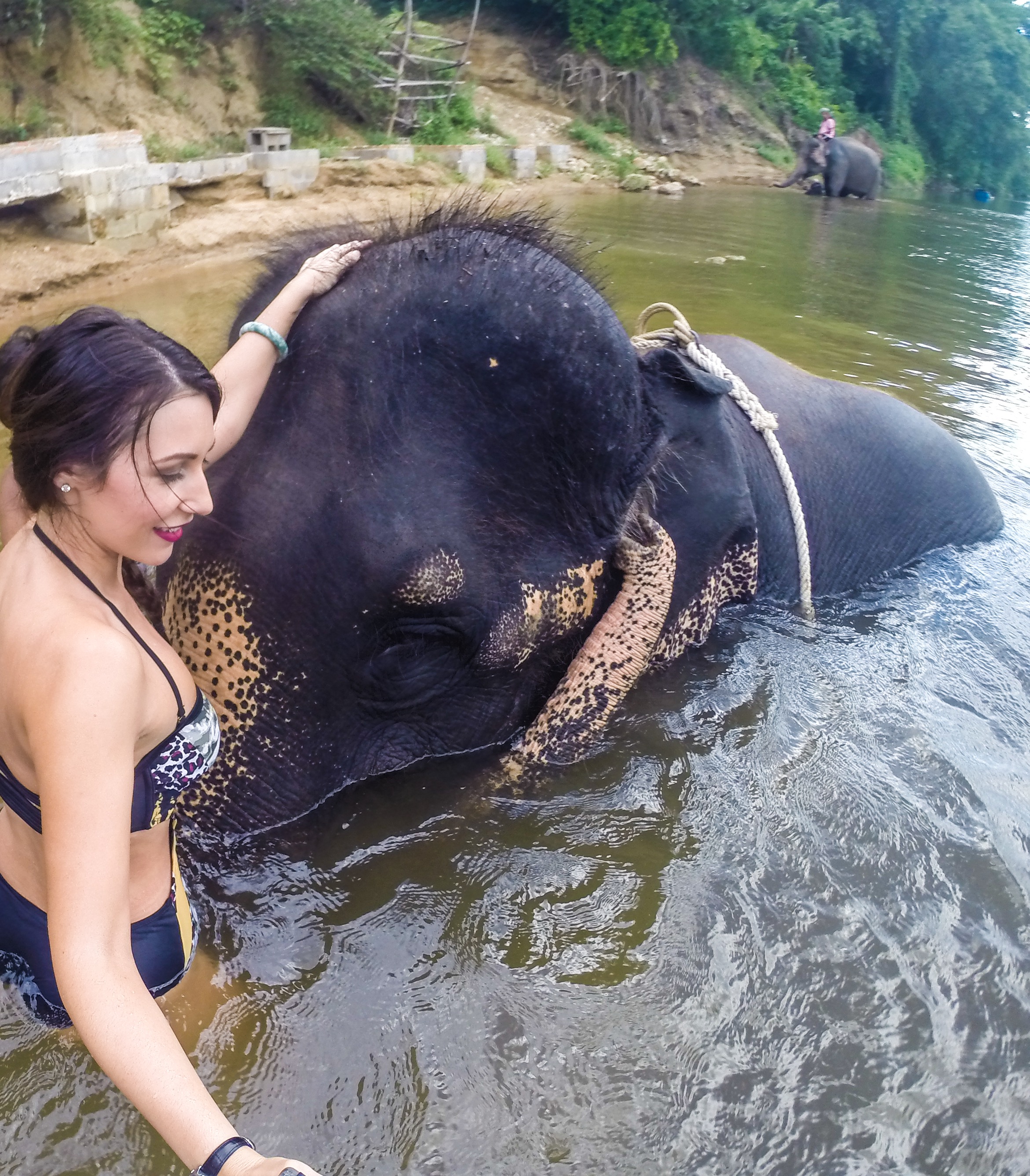8 elephant bath (4)